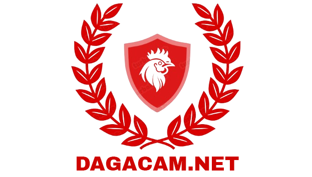 dagacam.net