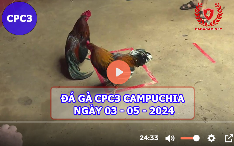 Video đá gà CPC3 ngày 03-05-2024