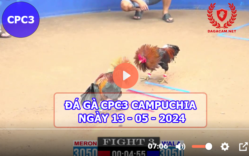 Video đá gà CPC3 ngày 13-05-2024