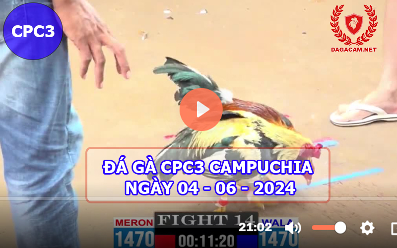 Video đá gà CPC3 ngày 04-06-2024