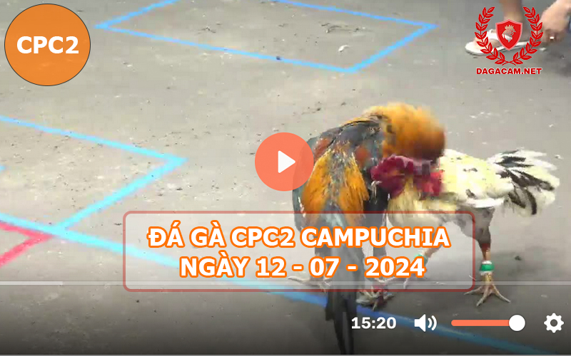 Video đá gà CPC2 ngày 12-07-2024