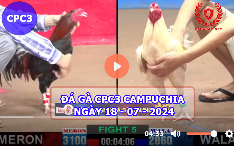 Video đá gà CPC3 ngày 18-07-2024