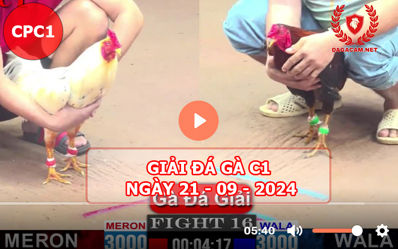 Giải đá gà C1 ngày 21-09-2024