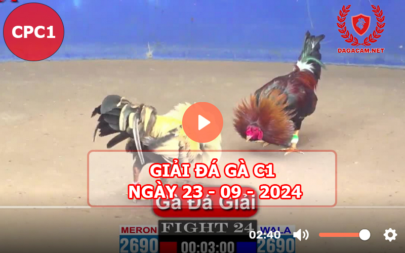 Giải đá gà C1 ngày 23-09-2024