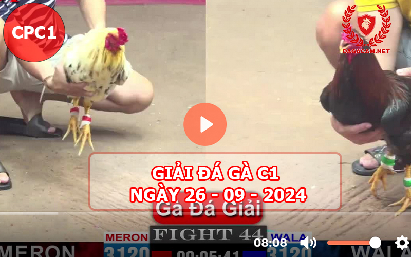 Giải đá gà C1 ngày 26-09-2024