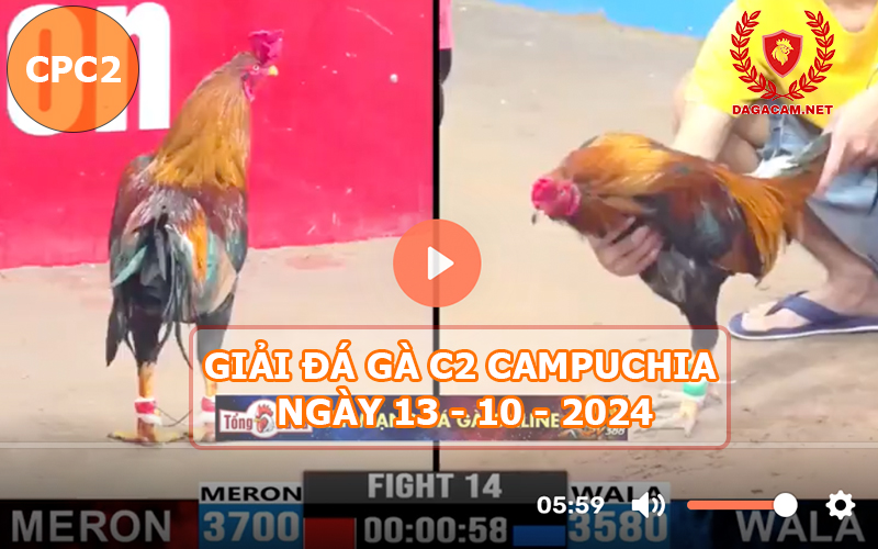 Giải đá gà C2 ngày 13-10-2024