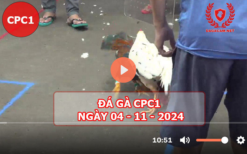 Đá gà CPC1 ngày 04-11-2024