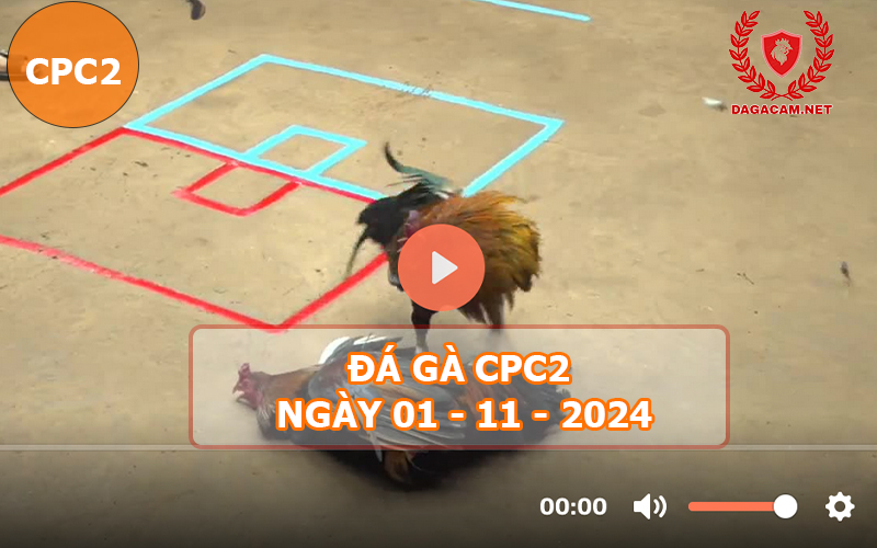 Đá gà CPC2 ngày 01-11-2024