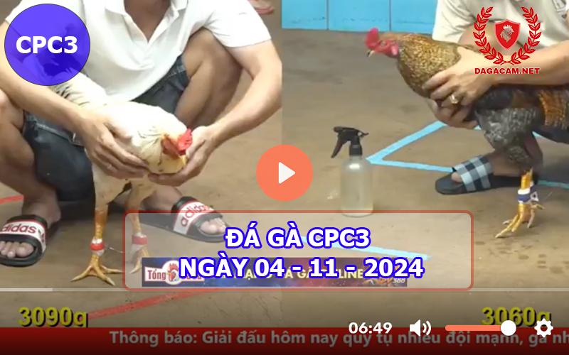 Đá gà CPC3 ngày 04-11-2024