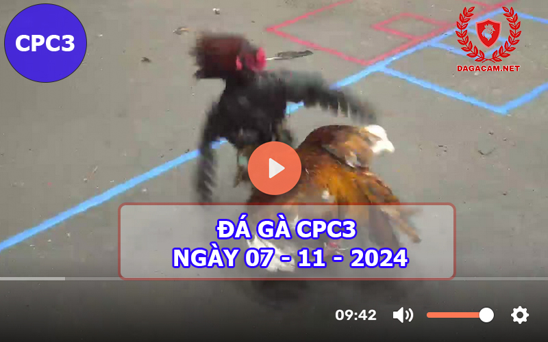 Đá gà CPC3 ngày 07-11-2024