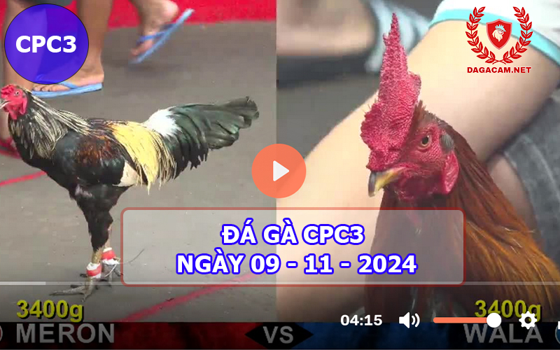 Đá gà CPC3 ngày 09-11-2024