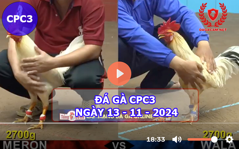 Đá gà CPC3 ngày 13-11-2024