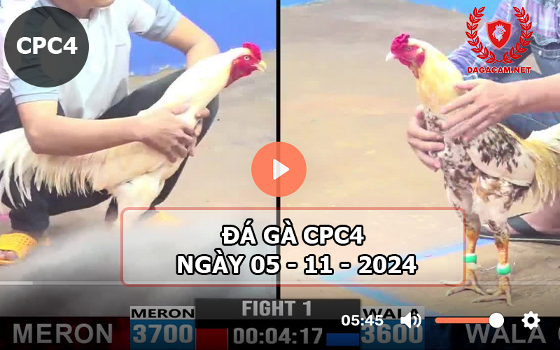 Đá gà CPC4 ngày 05-11-2024