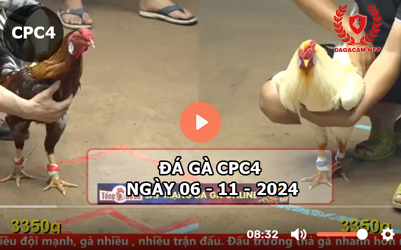 Đá gà CPC4 ngày 06-11-2024