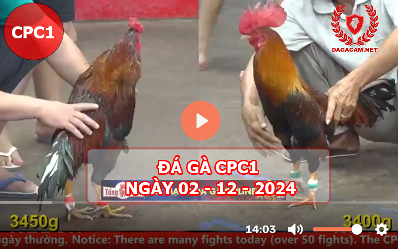 Đá gà CPC1 ngày 02-12-2024