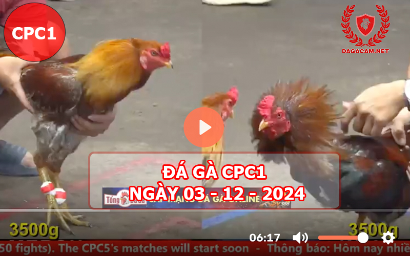 Đá gà CPC1 ngày 03-12-2024