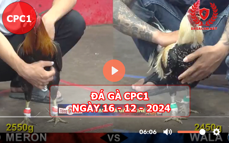 Đá gà CPC1 ngày 16-12-2024