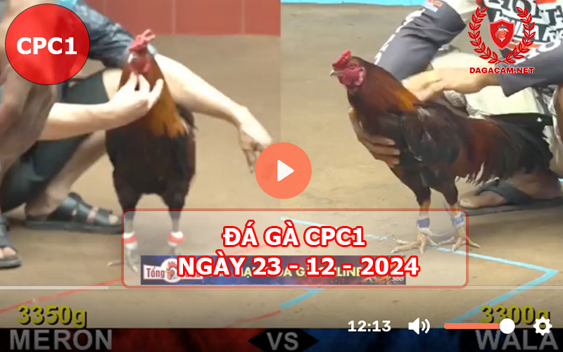 Đá gà CPC1 ngày 23-12-2024