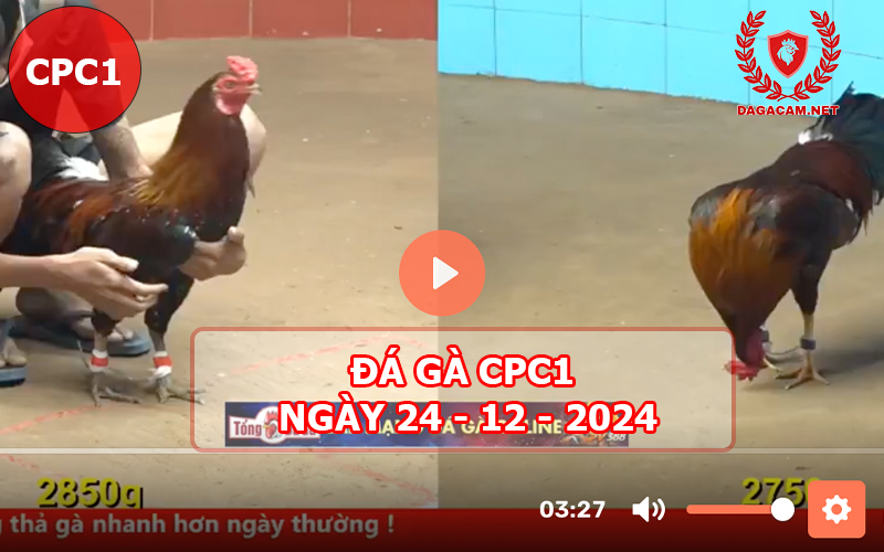 Đá gà CPC1 ngày 24-12-2024