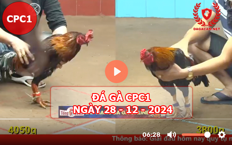 Đá gà CPC1 ngày 28-12-2024