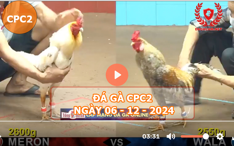 Đá gà CPC2 ngày 06-12-2024