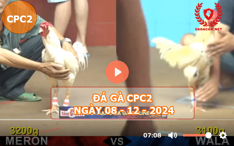 Đá gà CPC2 ngày 08-12-2024