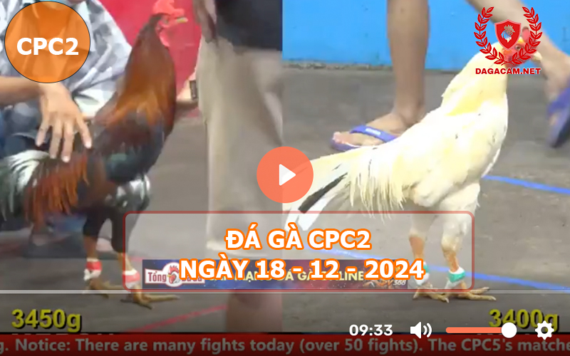 Đá gà CPC2 ngày 18-12-2024