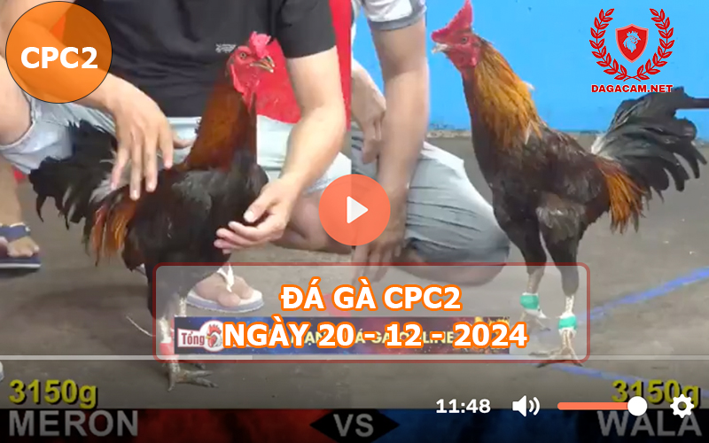 Đá gà CPC2 ngày 20-12-2024