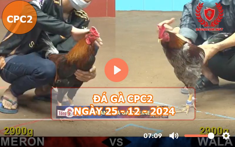 Đá gà CPC2 ngày 25-12-2024