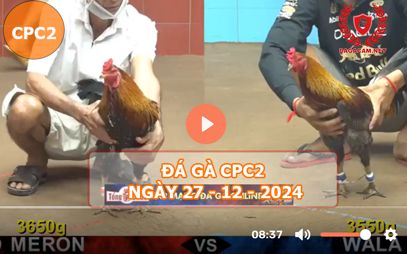 Đá gà CPC2 ngày 27-12-2024