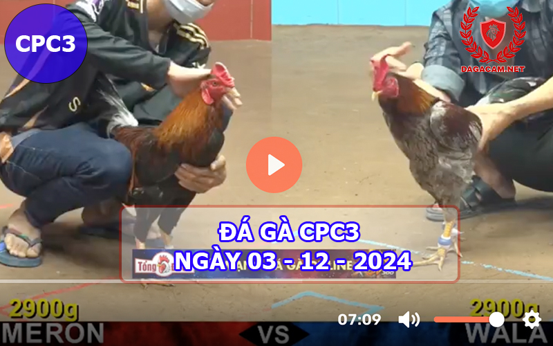 Đá gà CPC3 ngày 03-12-2024