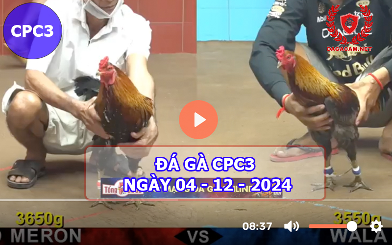 Đá gà CPC3 ngày 04-12-2024