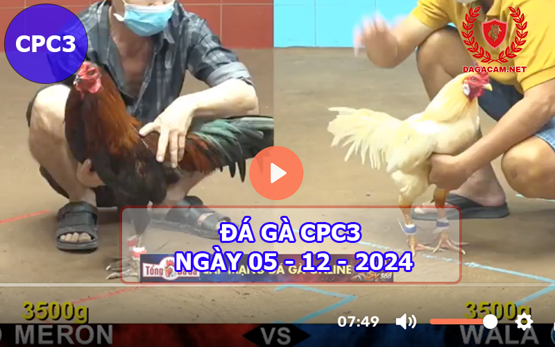 Đá gà CPC3 ngày 05-12-2024