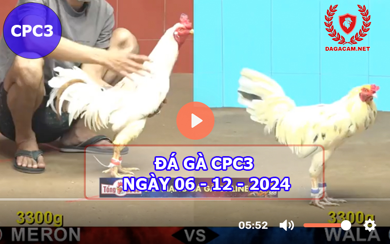 Đá gà CPC3 ngày 06-12-2024