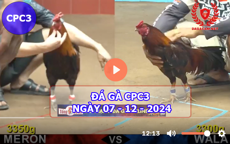 Đá gà CPC3 ngày 07-12-2024