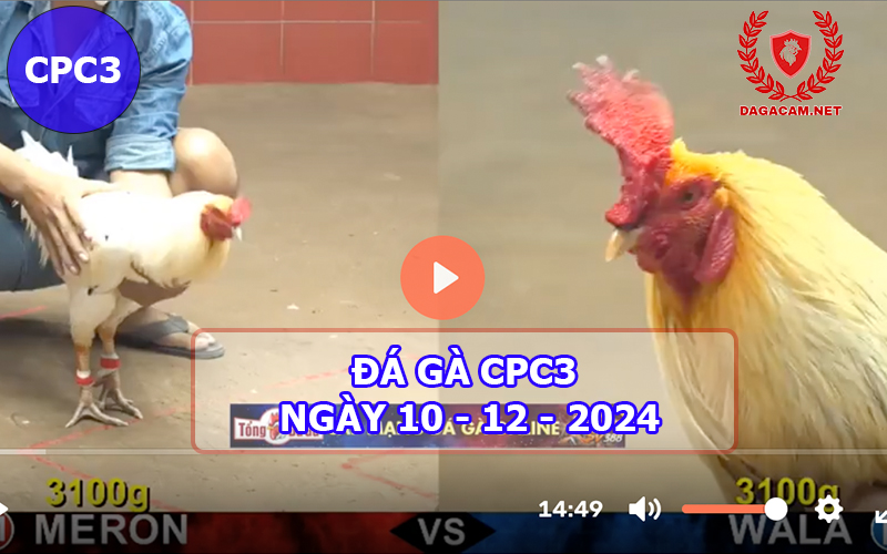 Đá gà CPC3 ngày 10-12-2024