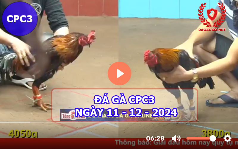 Đá gà CPC3 ngày 11-12-2024