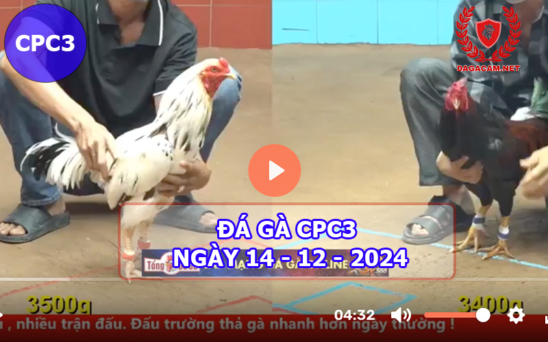 Đá gà CPC3 ngày 14-12-2024