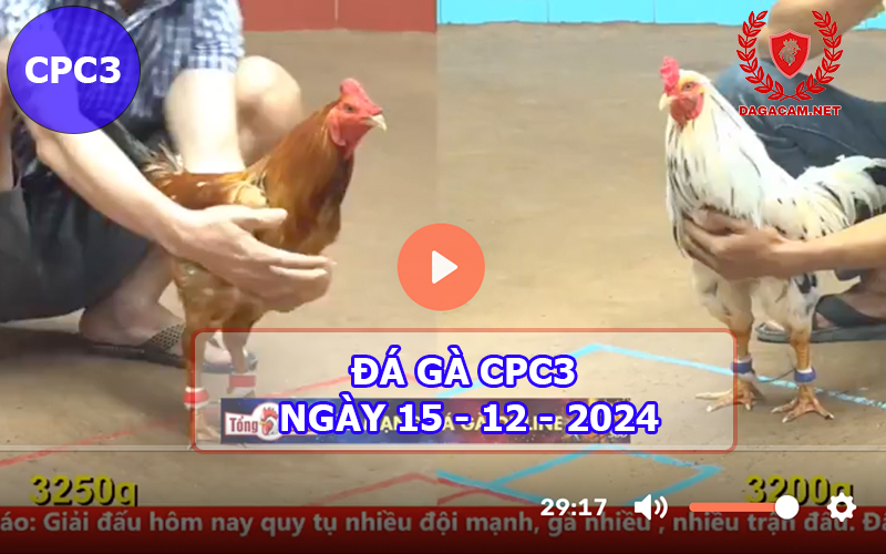 Đá gà CPC3 ngày 15-12-2024