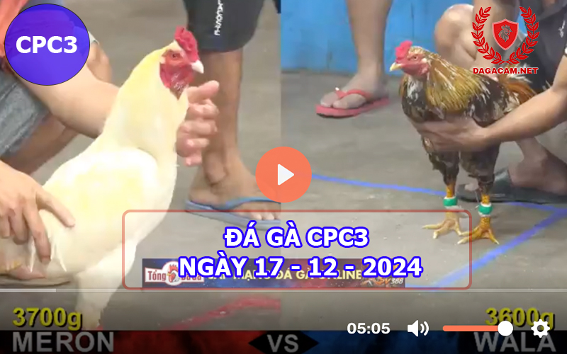 Đá gà CPC3 ngày 17-12-2024