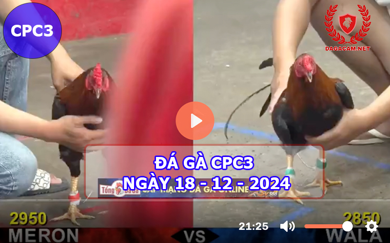 Đá gà CPC3 ngày 18-12-2024