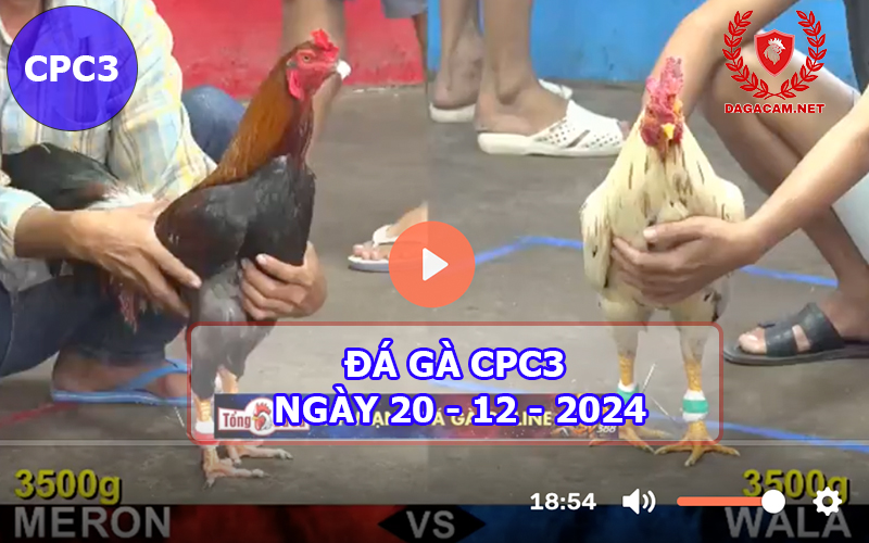 Đá gà CPC3 ngày 20-12-2024