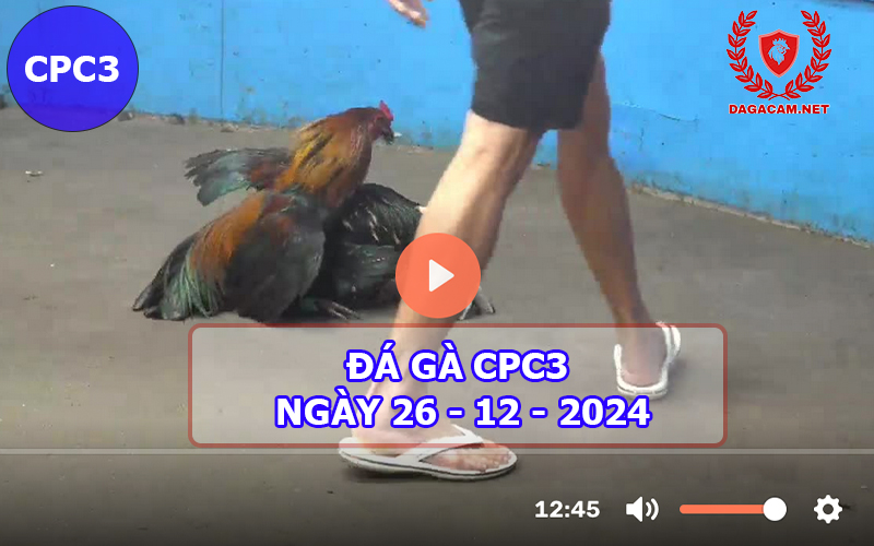 Đá gà CPC3 ngày 26-12-2024