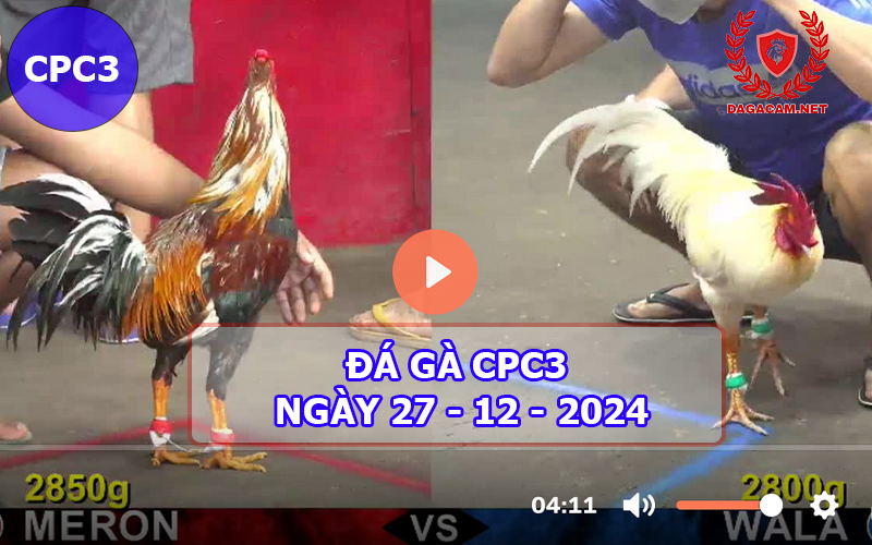 Đá gà CPC3 ngày 27-12-2024