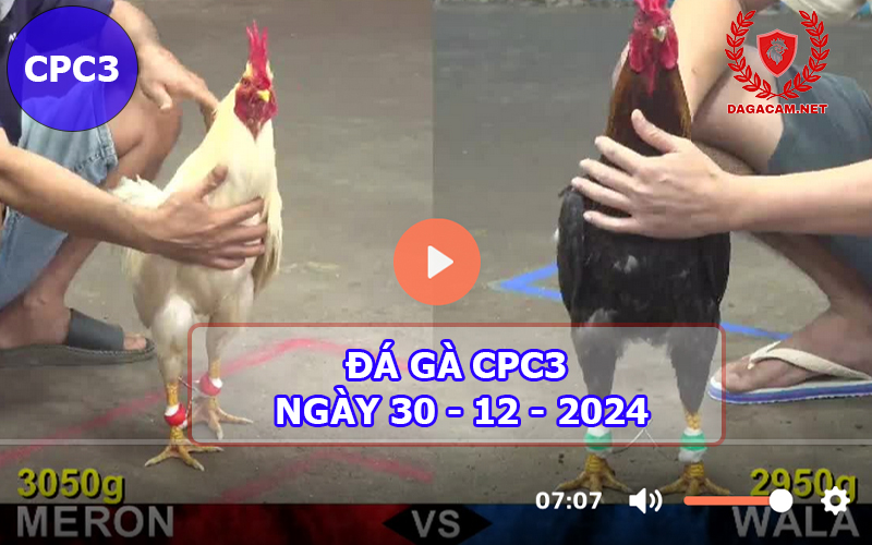 Đá gà CPC3 ngày 30-12-2024