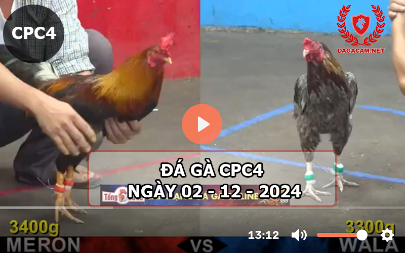 Đá gà CPC4 ngày 02-12-2024