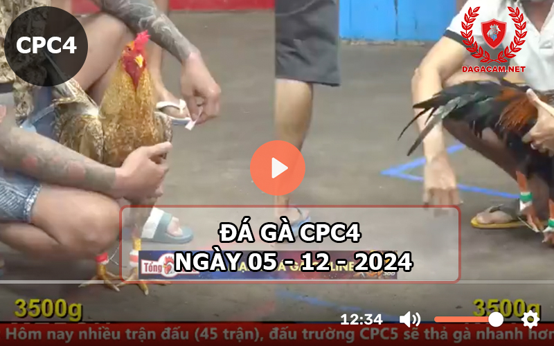 Đá gà CPC4 ngày 05-12-2024