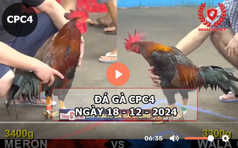 Đá gà CPC4 ngày 18-12-2024