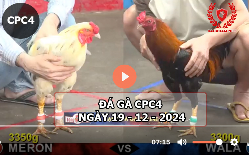 Đá gà CPC4 ngày 19-12-2024