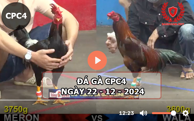 Đá gà CPC4 ngày 22-12-2024